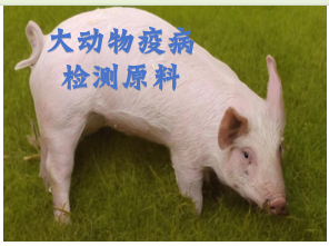 大动物疫病原料