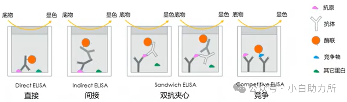 d1eaf00c243d3b5938c54cf32a937542.png